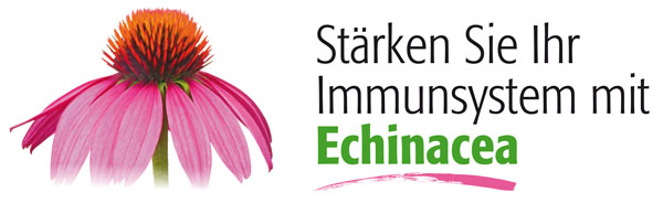 Echinacea, Immunstärker