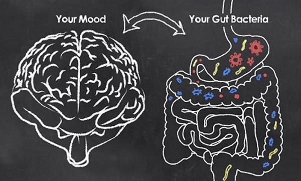 Probiotics - the gut-brain-axis