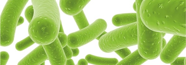 Probiotics - what to look for when selecting one