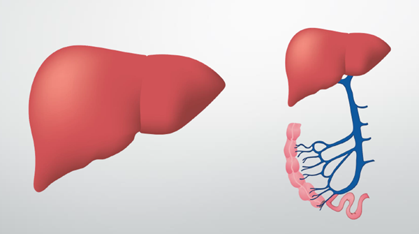 Replay: Clinical Talk about Liver Detoxification