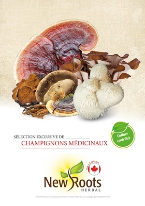 champignons-new-roots-herbal