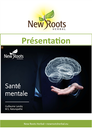 portada_webinar_slides_sant_mentale