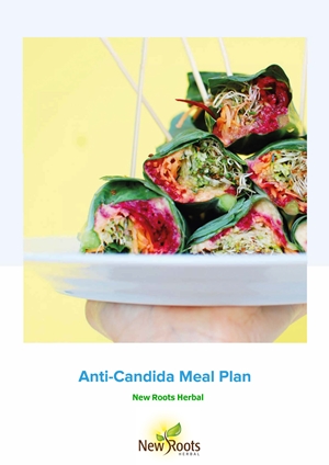 Candidiasis-meal-programme