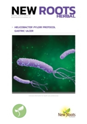 Protocol_Helicobacter_pylori_ENG