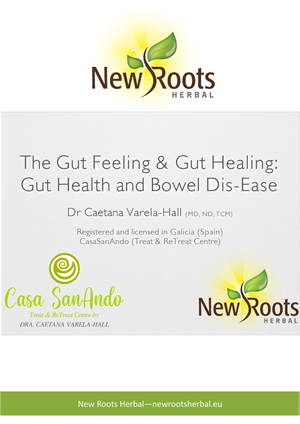 portada_webinar_slides_Gut_Health_by_Caetana